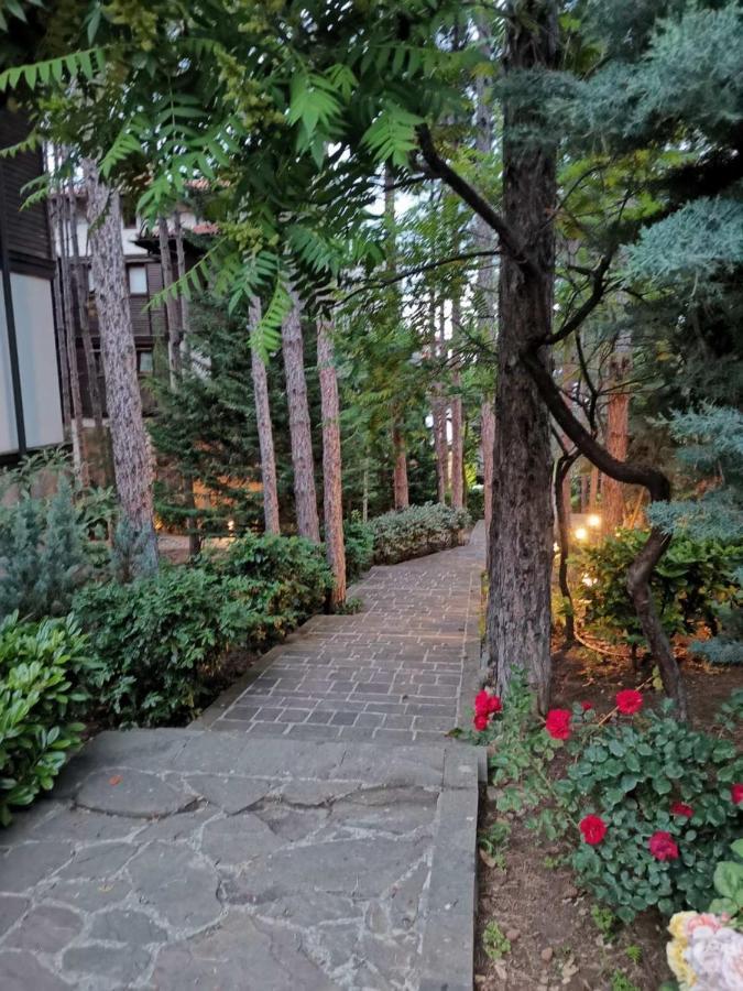 Quiet Apartment With Big Terrace In Santa Marina With Parking Sozopol Esterno foto